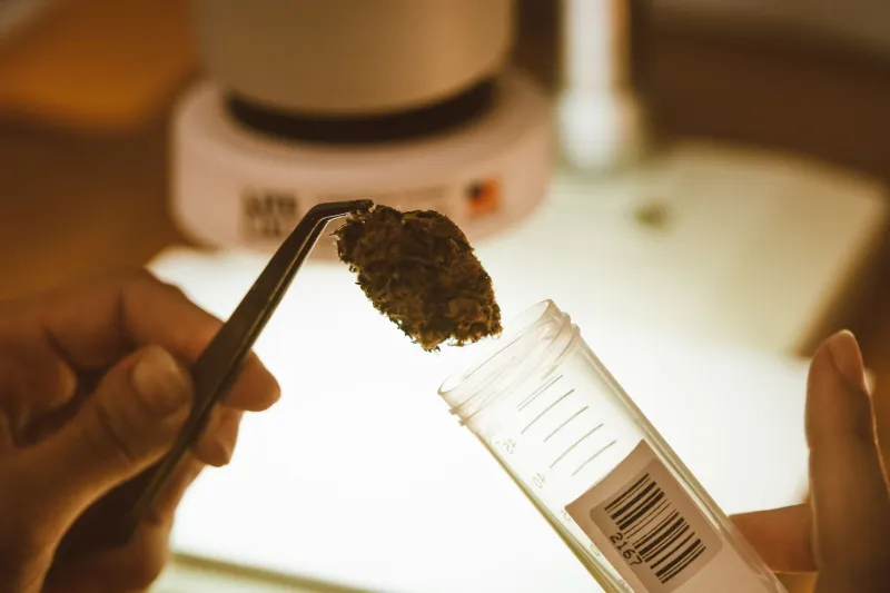 When the Lab Says One Thing and Your Body Says Another: The Hidden Gap in CBD Testing